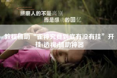 教程辅助“雀神究竟到底有没有挂”开挂(透视)辅助神器