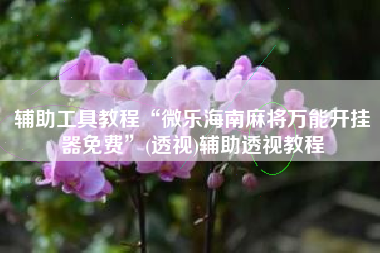 辅助工具教程“微乐海南麻将万能开挂器免费”(透视)辅助透视教程