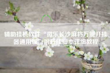 辅助挂机软件“微乐长沙麻将万能开挂器通用版	”附开挂脚本详细教程