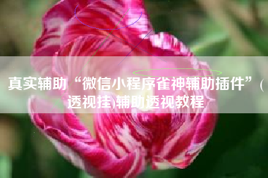 真实辅助“微信小程序雀神辅助插件”(透视挂)辅助透视教程