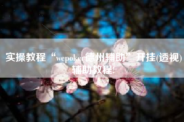 实操教程“wepoker德州辅助”开挂(透视)辅助教程!