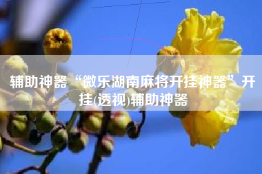 辅助神器“微乐湖南麻将开挂神器”开挂(透视)辅助神器