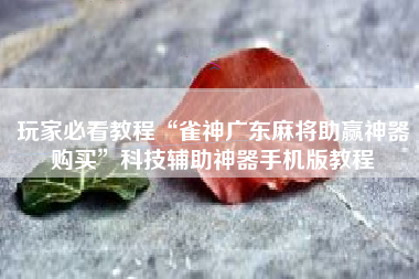 玩家必看教程“雀神广东麻将助赢神器购买	”科技辅助神器手机版教程