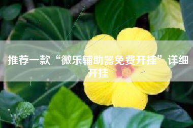 推荐一款“微乐辅助器免费开挂”详细开挂