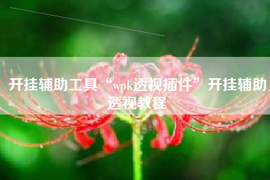 开挂辅助工具“wpk透视插件	”开挂辅助透视教程