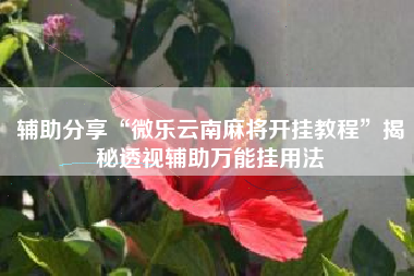 辅助分享“微乐云南麻将开挂教程”揭秘透视辅助万能挂用法
