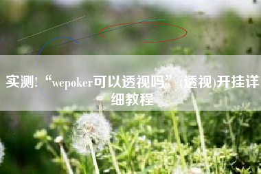 实测!“wepoker可以透视吗”(透视)开挂详细教程