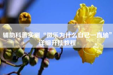 辅助科普实测“微乐为什么自己一直输	”详细开挂教程