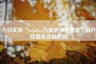 今日实测“wepoker万能透视看牌器	”附开挂脚本详细教程