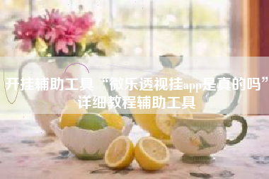 开挂辅助工具“微乐透视挂app是真的吗”详细教程辅助工具