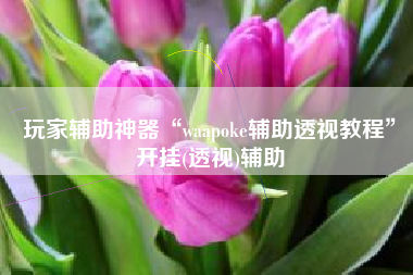 玩家辅助神器“waapoke辅助透视教程”开挂(透视)辅助