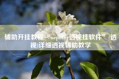 辅助开挂教程“wepoker透视挂软件	”(透视)详细透视辅助教学