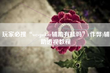玩家必搜“we-poker辅助有挂吗”(作弊)辅助透视教程