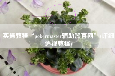 实操教程“pokermaster辅助器官网”(详细透视教程)