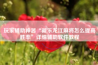 玩家辅助神器“微乐龙江麻将怎么提高胜率	”详细辅助软件教程