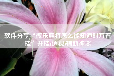 软件分享“微乐麻将怎么能知道对方有挂	”开挂(透视)辅助神器