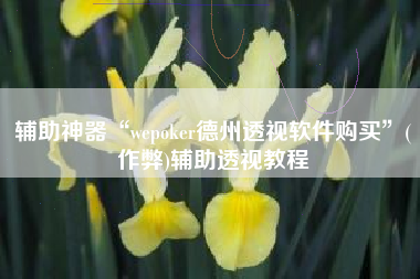 辅助神器“wepoker德州透视软件购买”(作弊)辅助透视教程