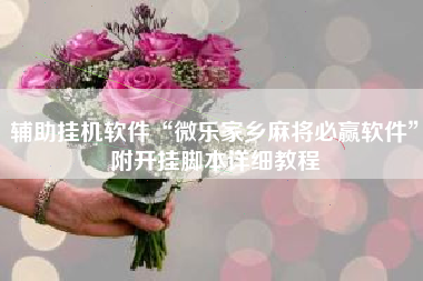 辅助挂机软件“微乐家乡麻将必赢软件	”附开挂脚本详细教程