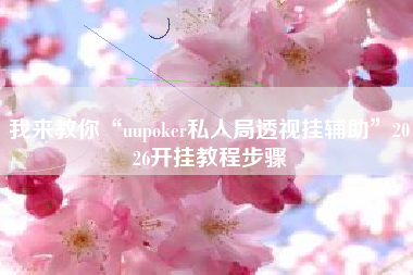 我来教你“uupoker私人局透视挂辅助”2026开挂教程步骤