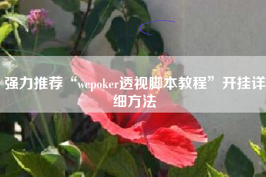 强力推荐“wepoker透视脚本教程”开挂详细方法
