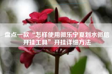 盘点一款“怎样使用微乐宁夏划水微信开挂工具”开挂详细方法