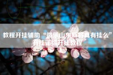 教程开挂辅助“微乐山东麻将真有挂么	”有挂详细开挂教程