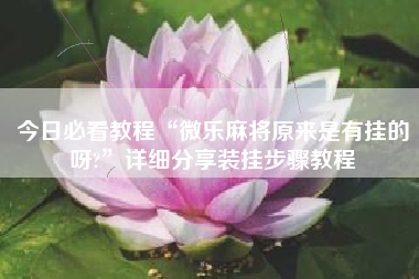 今日必看教程“微乐麻将原来是有挂的呀?”详细分享装挂步骤教程