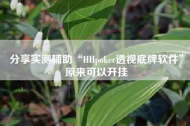 分享实测辅助“HHpoker透视底牌软件”原来可以开挂