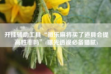 开挂辅助工具“微乐麻将买了道具会提高胜率吗”(曝光透视必备猫腻)