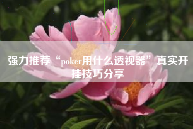 强力推荐“poker用什么透视器	”真实开挂技巧分享