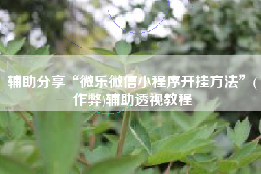 辅助分享“微乐微信小程序开挂方法”(作弊)辅助透视教程