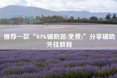 推荐一款“WPK辅助器(免费)	”分享辅助外挂教程