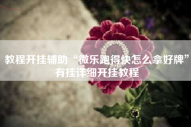 教程开挂辅助“微乐跑得快怎么拿好牌”有挂详细开挂教程