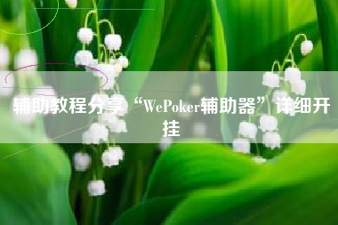 辅助教程分享“WePoker辅助器”详细开挂