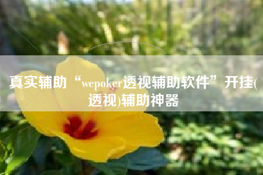 真实辅助“wepoker透视辅助软件	”开挂(透视)辅助神器