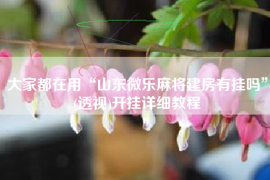 大家都在用“山东微乐麻将建房有挂吗”(透视)开挂详细教程