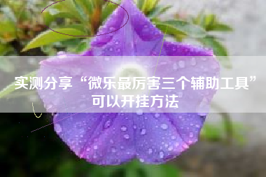 实测分享“微乐最厉害三个辅助工具	”可以开挂方法