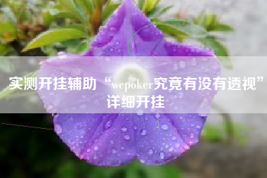 实测开挂辅助“wepoker究竟有没有透视”详细开挂