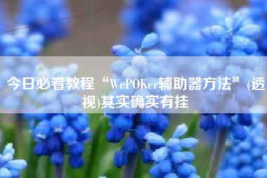 今日必看教程“WePOKer辅助器方法	”(透视)其实确实有挂