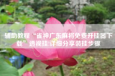 辅助教程“雀神广东麻将免费开挂器下载”透视挂!详细分享装挂步骤