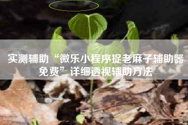 实测辅助“微乐小程序捉老麻子辅助器免费”详细透视辅助方法