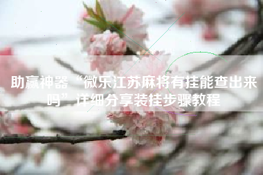 助赢神器“微乐江苏麻将有挂能查出来吗	”详细分享装挂步骤教程