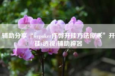 辅助分享“wepoker作弊开挂方法原来”开挂(透视)辅助神器