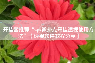 开挂器推荐“wpk微扑克开挂透视使用方法	”【透视软件教程分享】