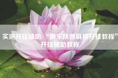 实测开挂辅助:“微乐陕西麻将开挂教程”开挂辅助教程