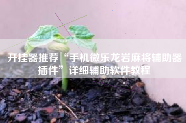 开挂器推荐“手机微乐龙岩麻将辅助器插件”详细辅助软件教程