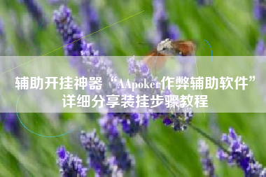 辅助开挂神器“AApoker作弊辅助软件”详细分享装挂步骤教程
