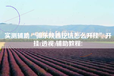 实测辅助“微乐陕西挖坑怎么开挂”开挂(透视)辅助教程!