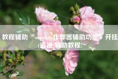 教程辅助“wepoker作弊器辅助功能”开挂(透视)辅助教程!