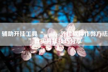 辅助开挂工具“wepoker外挂软件作弊方法	”真实开挂技巧分享